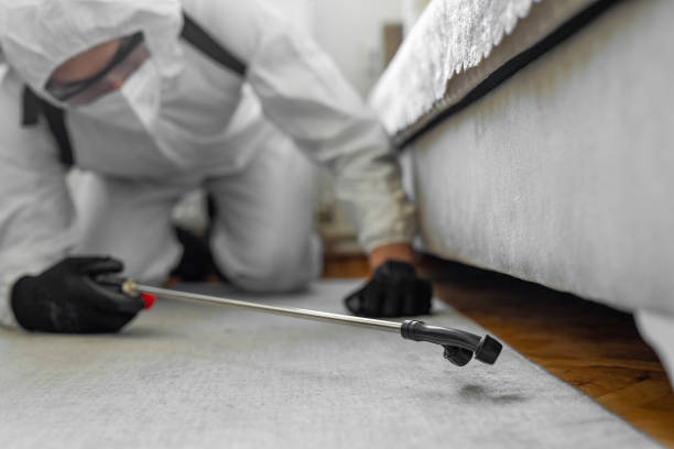 Professional Termite Control technician working in Union Grove, WI